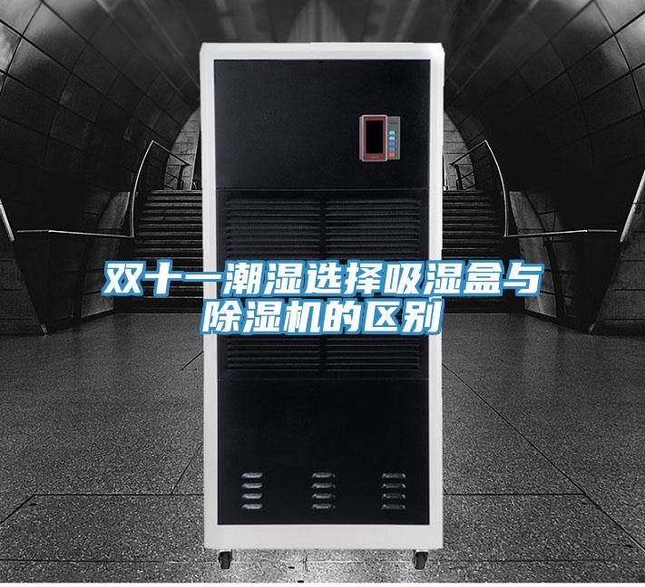 雙十一潮濕選擇吸濕盒與91看片网站的區別