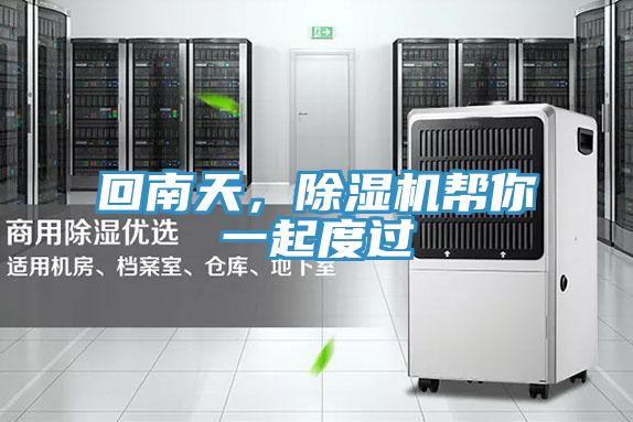 回南天，91看片网站幫你一起度過