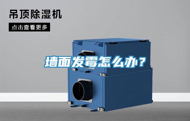 牆麵發黴怎麽辦？