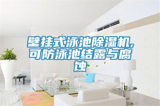 壁掛式泳池91看片网站,可防泳池結露與腐蝕