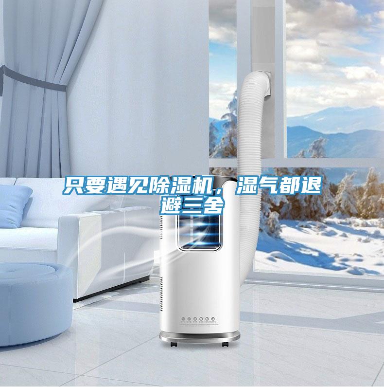 隻要遇見91看片网站，濕氣都退避三舍