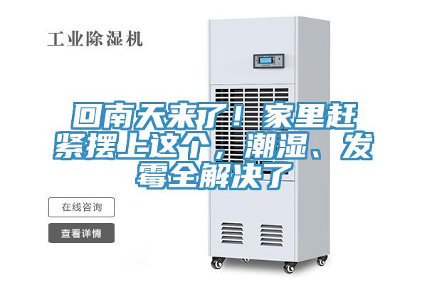 回南天來了！家裏趕緊擺上這個，潮濕、發黴全解決了