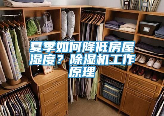 夏季如何降低房屋濕度？91看片网站工作原理
