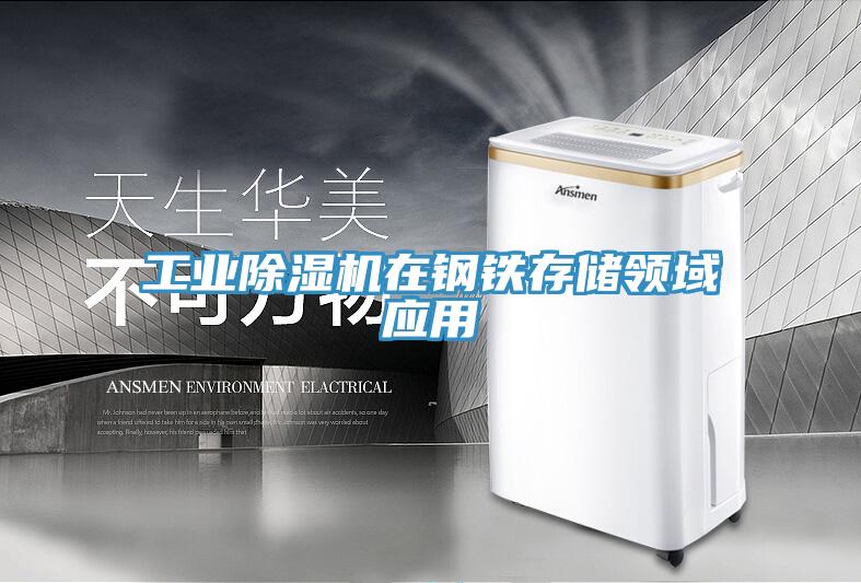 工業91看片网站在鋼鐵存儲領域應用