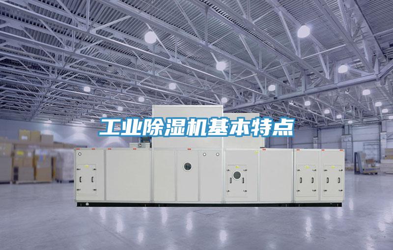 工業91看片网站基本特點