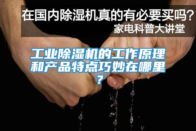工業91看片网站的工作原理和產品特點巧妙在哪裏？