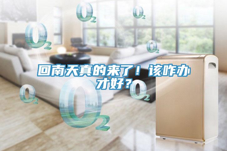 回南天真的來了！該咋辦才好？