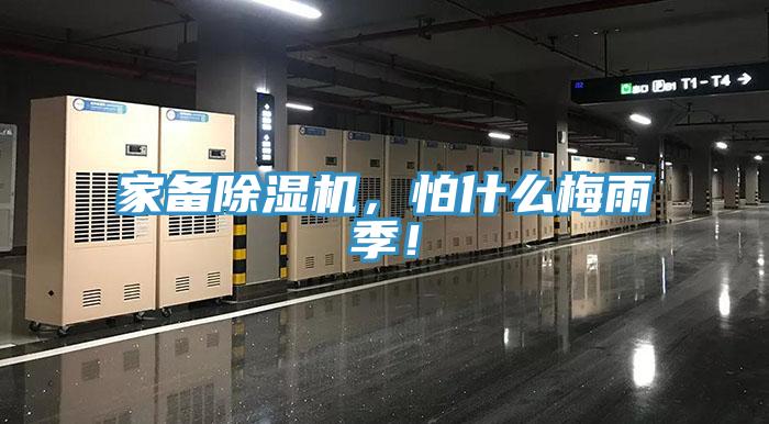 家備91看片网站，怕什麽梅雨季！