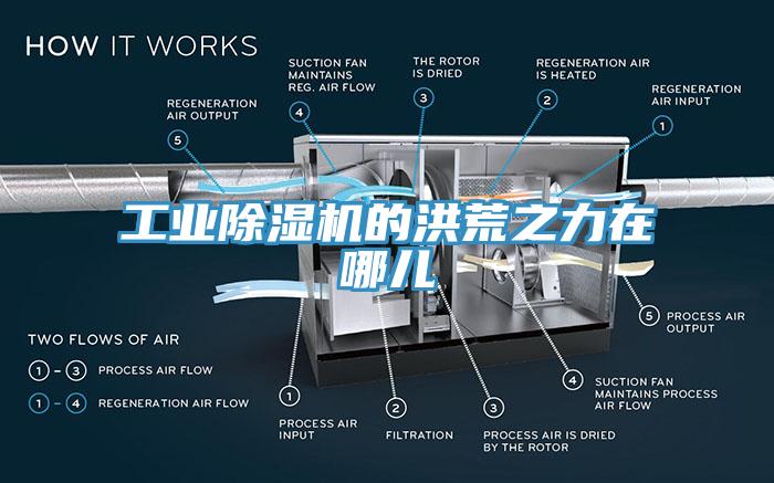工業91看片网站的洪荒之力在哪兒