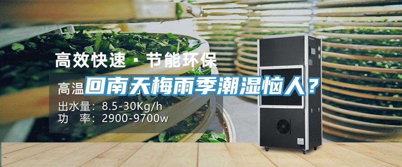 回南天梅雨季潮濕惱人？
