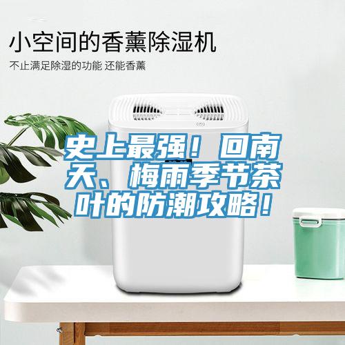 史上最強！回南天、梅雨季節茶葉的防潮攻略！
