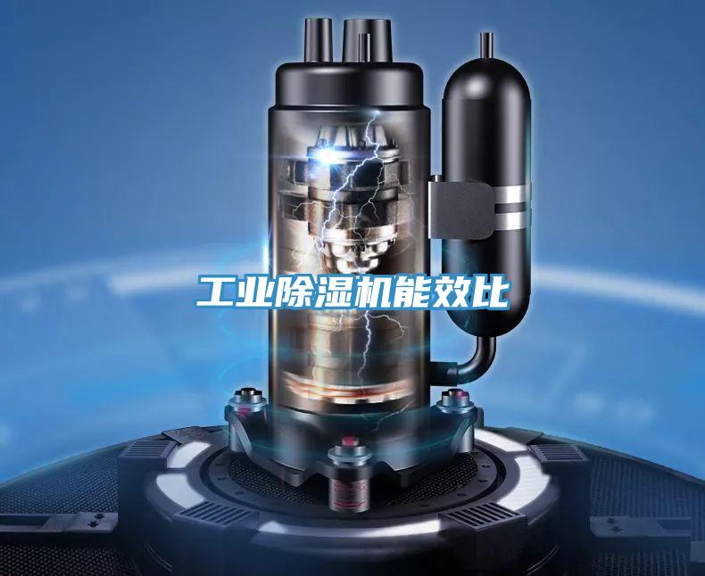 工業91看片网站能效比