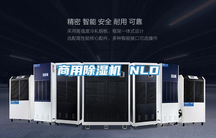 商用91看片网站 NLD