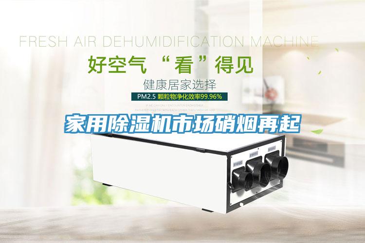 家用91看片网站市場硝煙再起