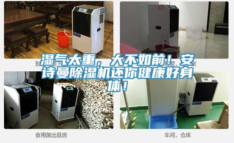 濕氣太重，大不如前！91看片免费下载91看片网站還你健康好身體！