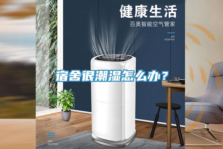 宿舍很潮濕怎麽辦？