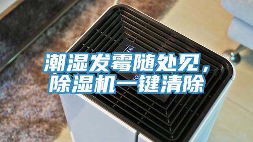 潮濕發黴隨處見，91看片网站一鍵清除