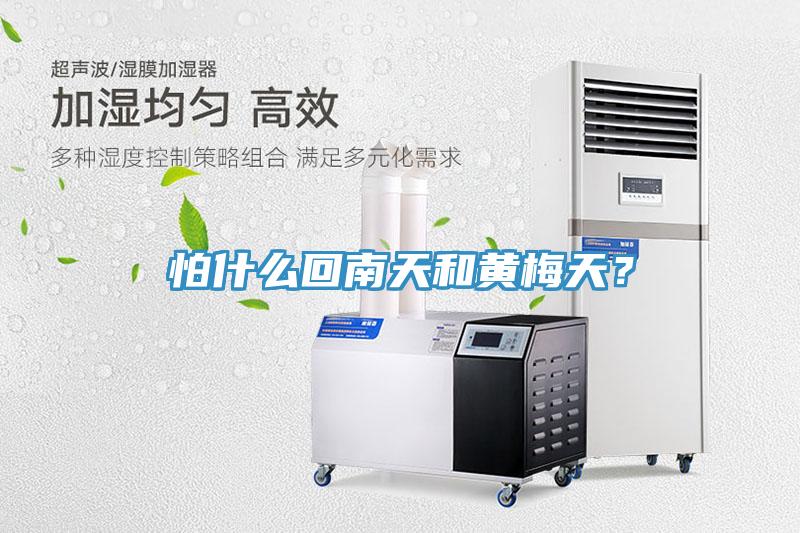 怕什麽回南天和黃梅天？
