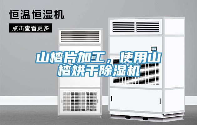 山楂片加工，使用山楂烘幹91看片网站