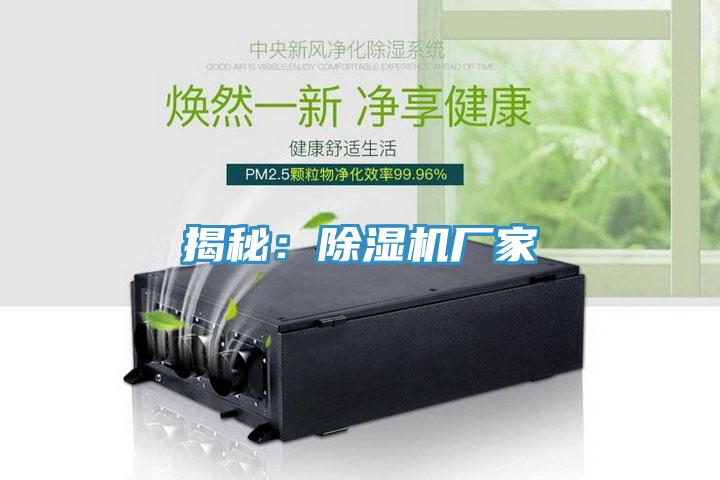 揭秘：91看片网站廠家