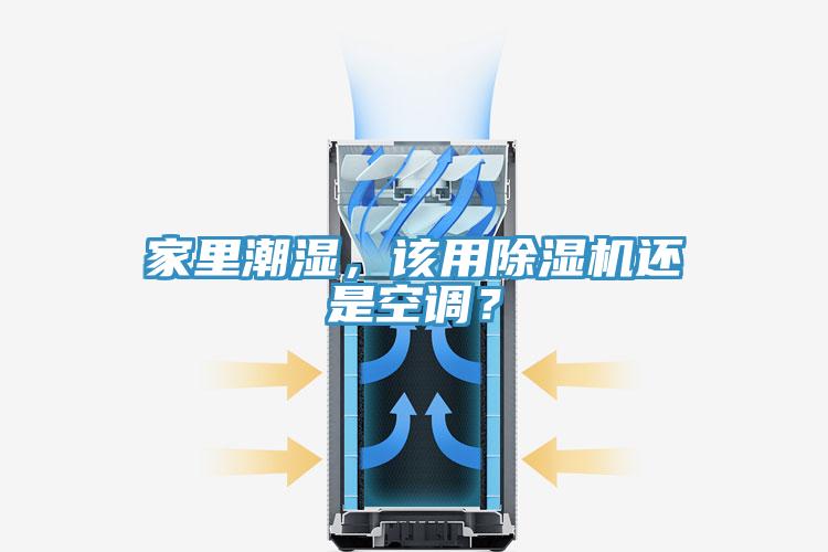 家裏潮濕，該用91看片网站還是空調？