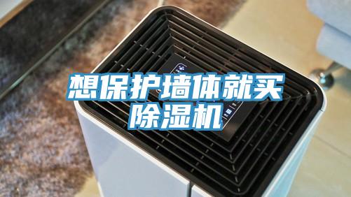 想保護牆體就買91看片网站