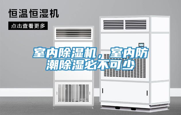室內91看片网站，室內防潮除濕必不可少
