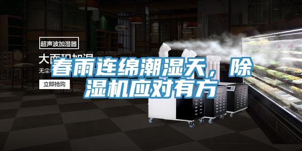 春雨連綿潮濕天，91看片网站應對有方