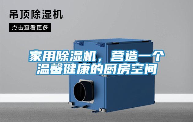 家用91看片网站，營造一個溫馨健康的廚房空間