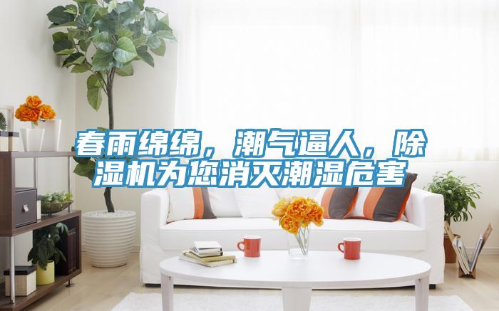 春雨綿綿，潮氣逼人，91看片网站為您消滅潮濕危害