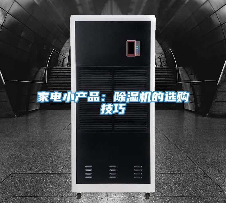 家電小產品：91看片网站的選購技巧