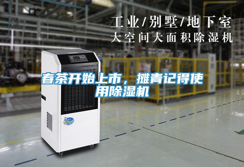 春茶開始上市，攤青記得使用91看片网站