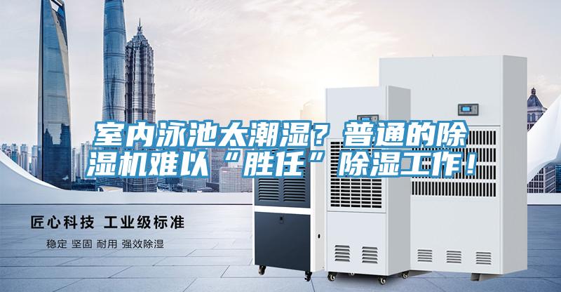 室內泳池太潮濕？普通的91看片网站難以“勝任”除濕工作！