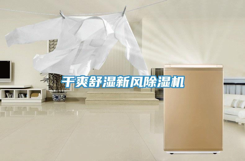 幹爽舒濕新風91看片网站