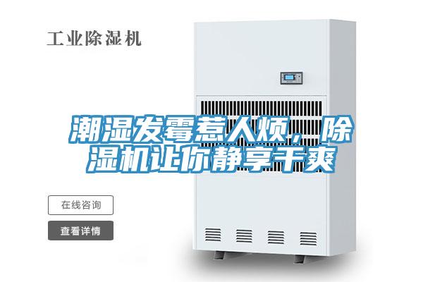 潮濕發黴惹人煩，91看片网站讓你靜享幹爽