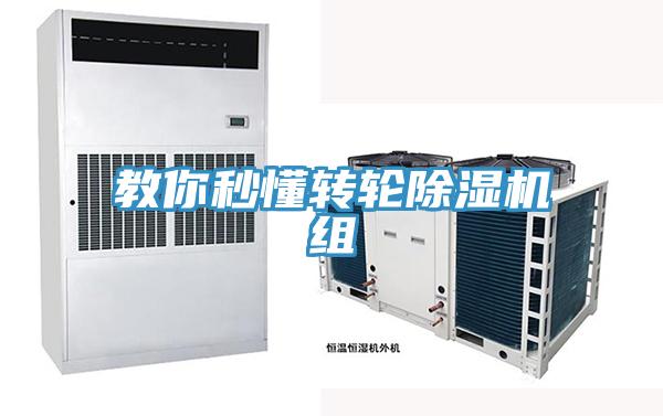 教你秒懂轉輪91看片网站組