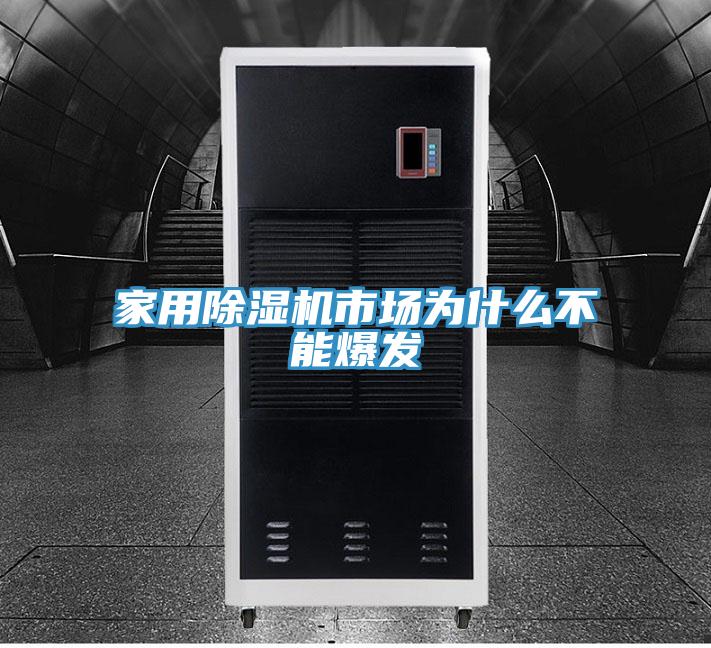 家用91看片网站市場為什麽不能爆發