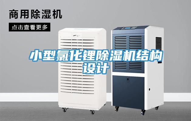 小型氯化鋰91看片网站結構設計