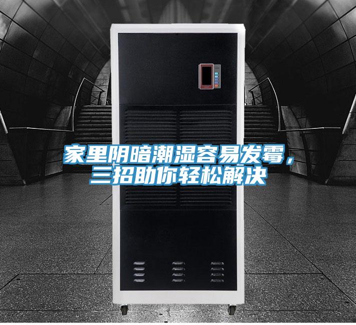 家裏陰暗潮濕容易發黴，三招助你輕鬆解決