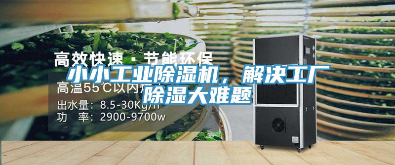 小小工業91看片网站，解決工廠除濕大難題