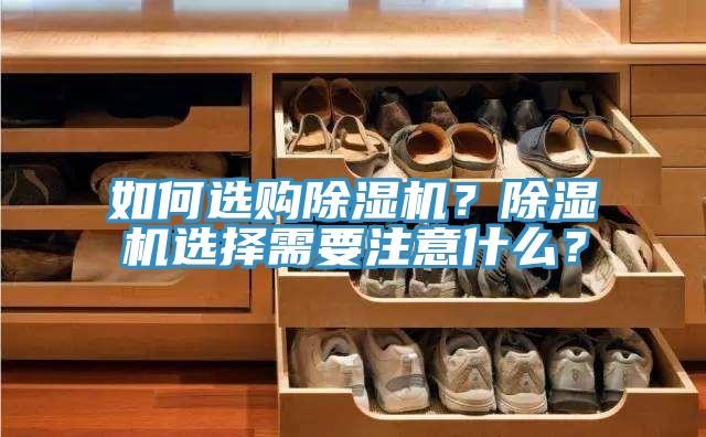 如何選購91看片网站？91看片网站選擇需要注意什麽？