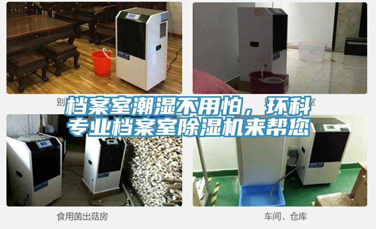 檔案室潮濕不用怕，環科專業檔案室91看片网站來幫您