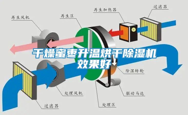 幹燥蜜棗升溫烘幹91看片网站效果好