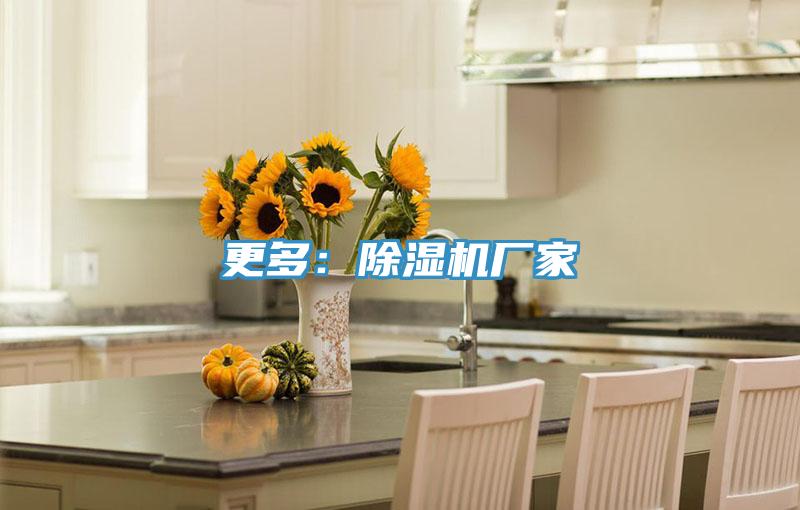 更多：91看片网站廠家
