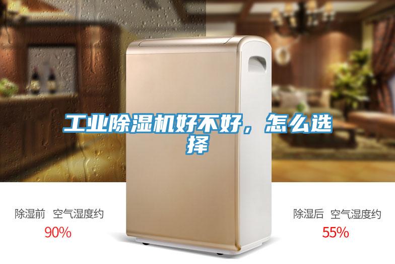 工業91看片网站好不好，怎麽選擇