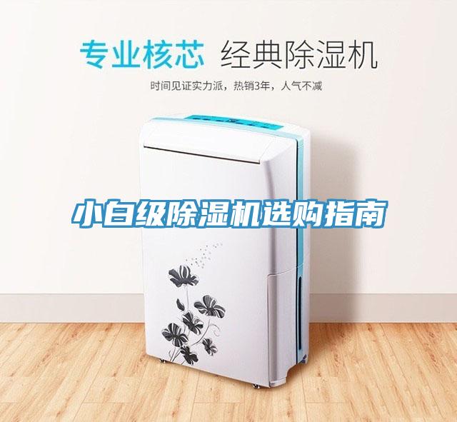 小白級91看片网站選購指南