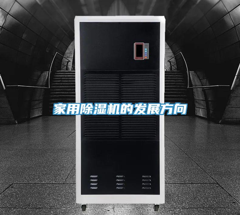 家用91看片网站的發展方向