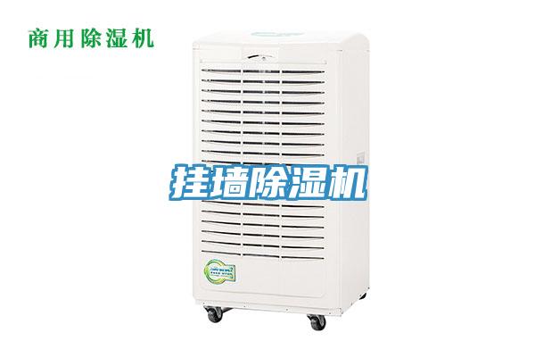 掛牆91看片网站
