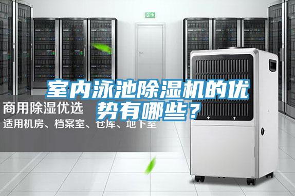 室內泳池91看片网站的優勢有哪些？