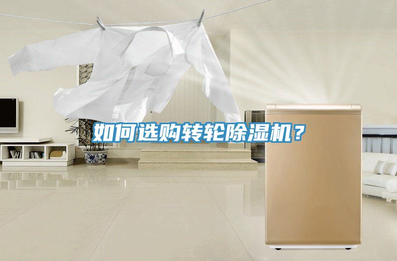 如何選購轉輪91看片网站？
